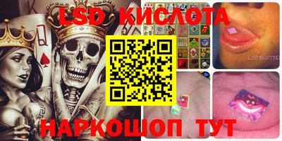 гашик Кулебаки