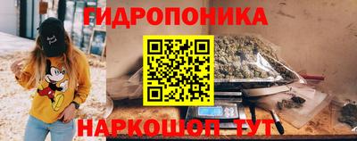 гашик Кулебаки