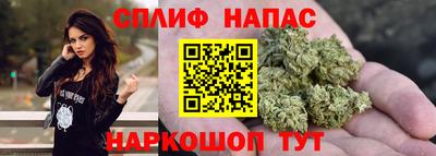 гашик Кулебаки