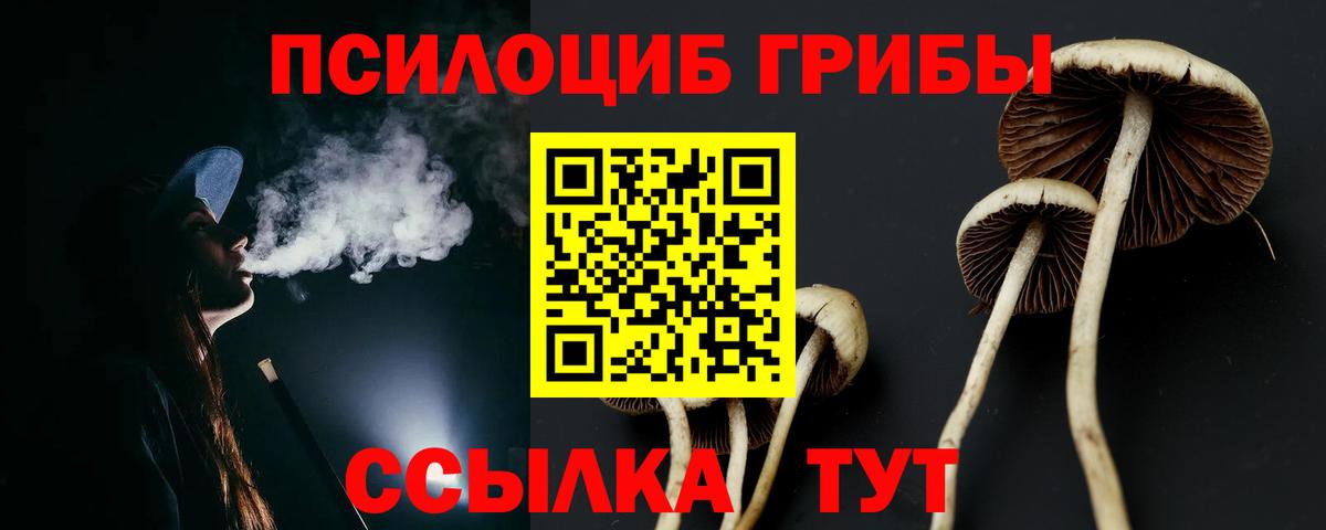 магазин  наркотиков  Псилоцибиновые грибы ЛСД  Вход с VPN  Волжск 